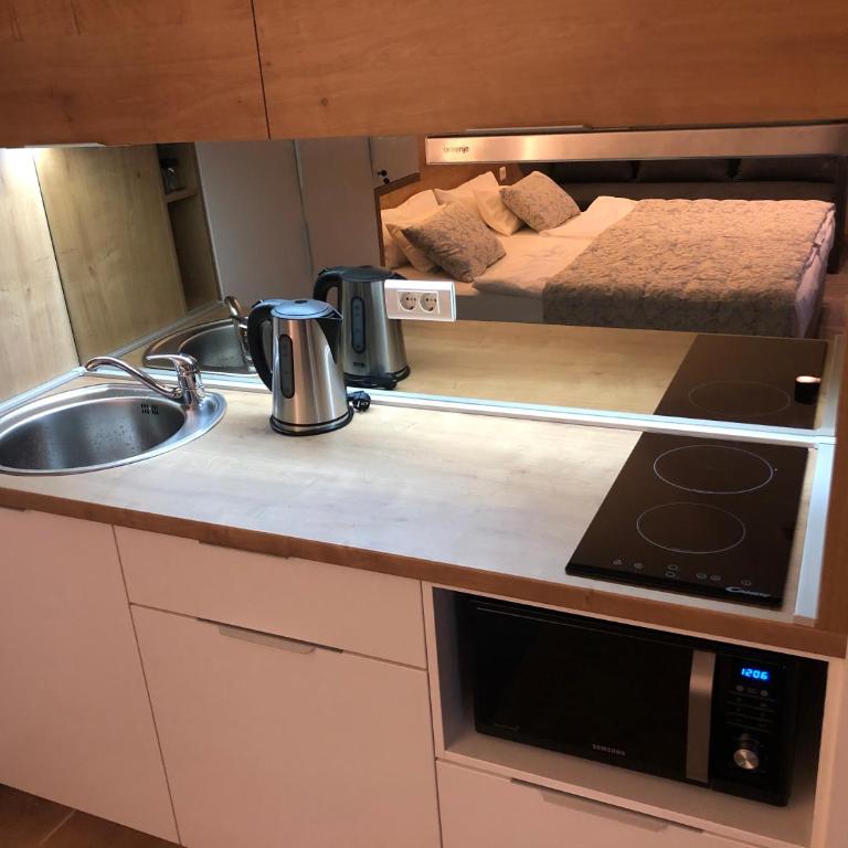 Apartment 101 - Aparthotel Vucko Jahorina private host - Studio Apartment - 7