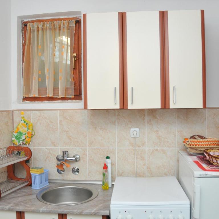 Apartmani Miletic Kopaonik - Studio s Pogledom na Vrt - 9