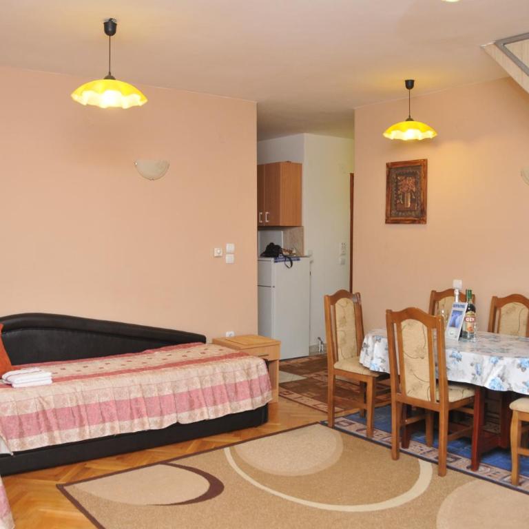 Apartmani Miletic Kopaonik - Apartman sa 1 Spavaćom Sobom - 14