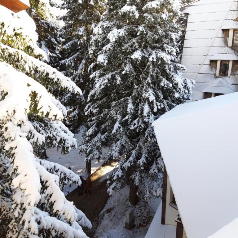 Vila Plan - Centar Kopaonik - Apartment - 12