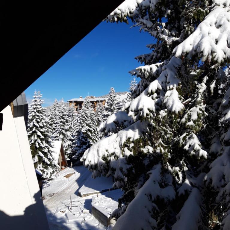 Vila Plan - Centar Kopaonik - Apartment - 17