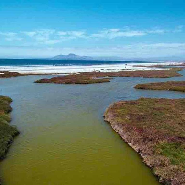 Tongoy Beach Tinyhouse - Vacation Home - 16