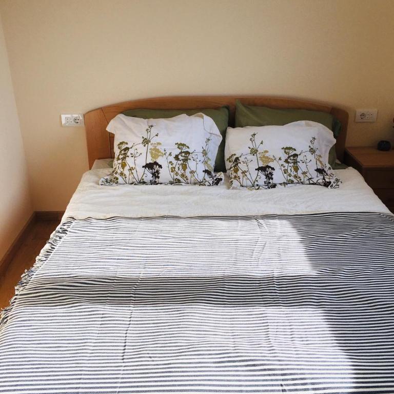 Apartman Zlatibor spa - Apartman sa 1 Spavaćom Sobom - 9
