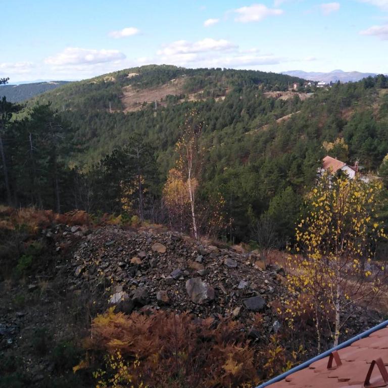 Apartmani Milojević - Koliba sa 2 Spavaće Sobe - 10