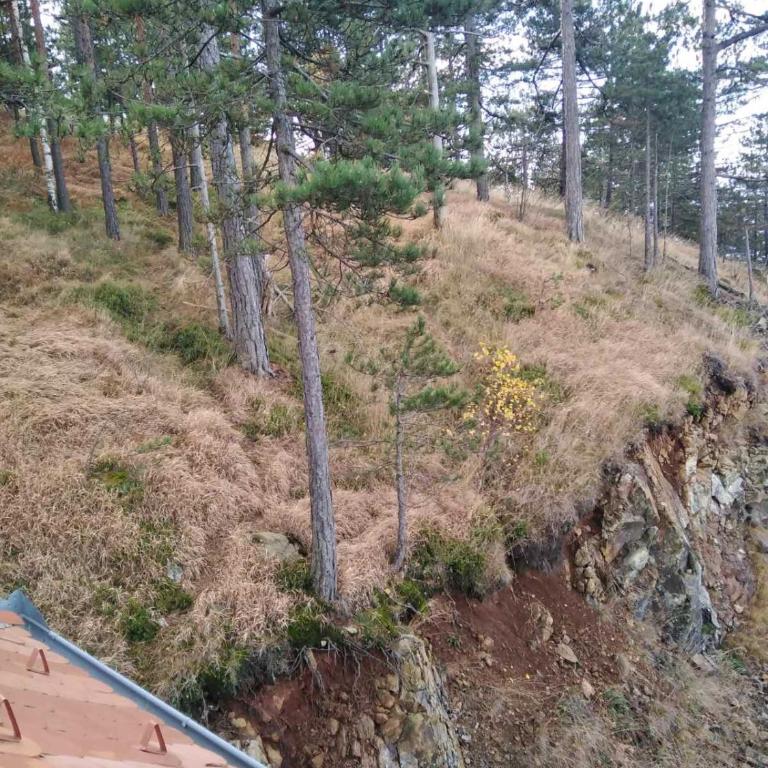 Apartmani Milojević - Koliba sa 2 Spavaće Sobe - 19