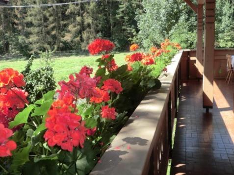 Burgblick - Camera Matrimoniale con Balcone - 6