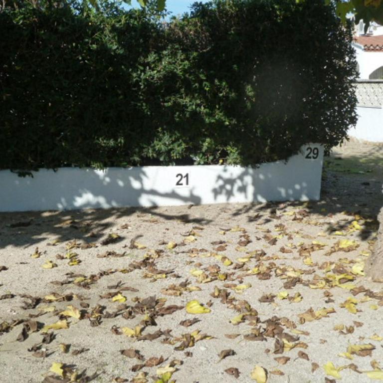 apartamento en primera linea playa ref 285 - Apartamento con vistas al mar - 24