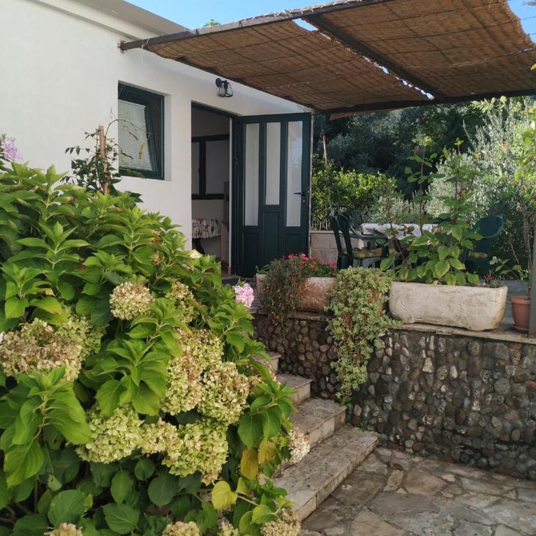 Kjara Apartments - Studio sa Sofom na Izvlačenje - 14
