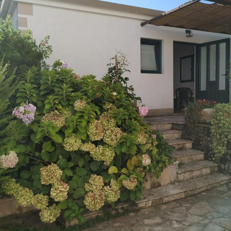 Kjara Apartments - Studio sa Sofom na Izvlačenje - 12