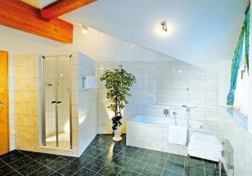 Tonis Appartements am Achensee - Apartment (6 Erwachsene) - 7
