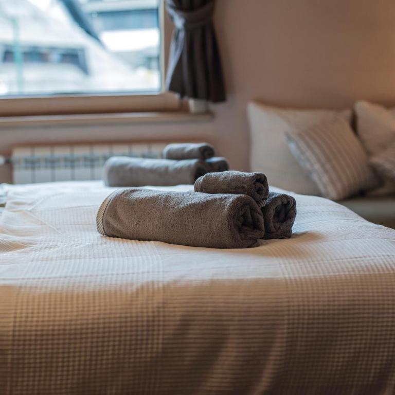 Brvenik 105, Konaci - Kopaonik - Apartman sa 1 Spavaćom Sobom - 3