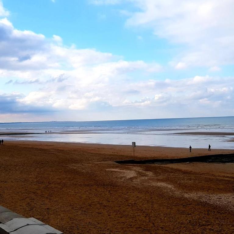 Résidence Front de mer Cabourg - Accès direct plage - One-Bedroom Apartment - 21