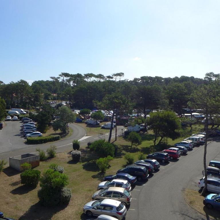 Réf 475, Seignosse océan, appartement proche plage et commerces, 4 personnes - Apartamento de 1 dormitorio - 14