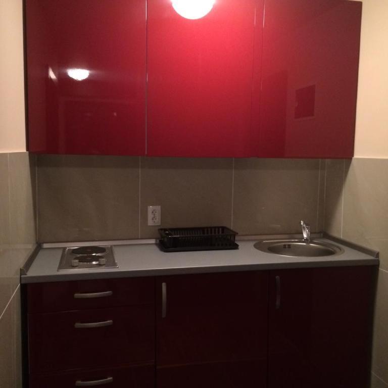 Vila Novaković - Apartman sa 1 Spavaćom Sobom - 9