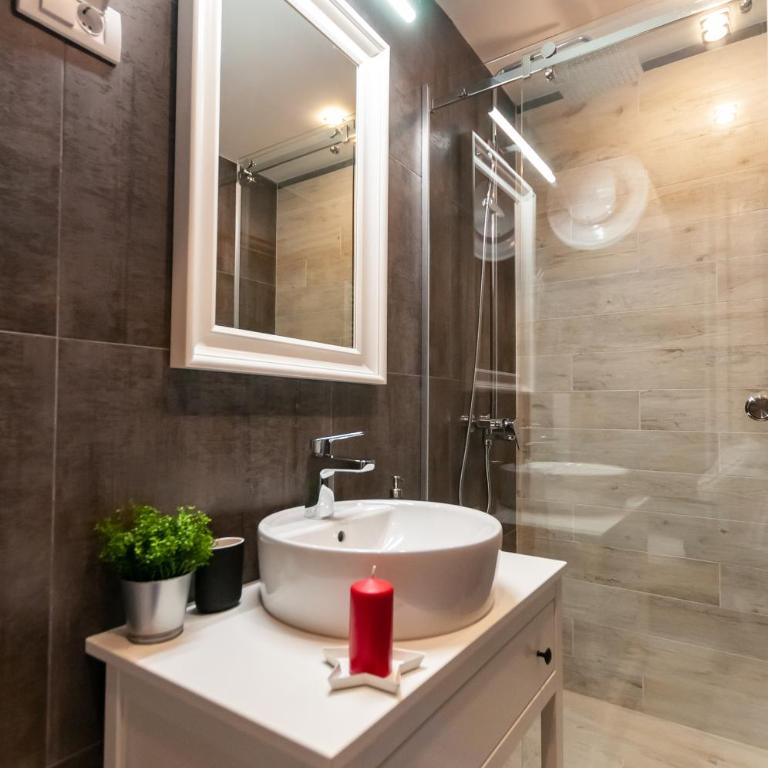 Mala Sava Apartmani - Apartman sa 1 Spavaćom Sobom - 8