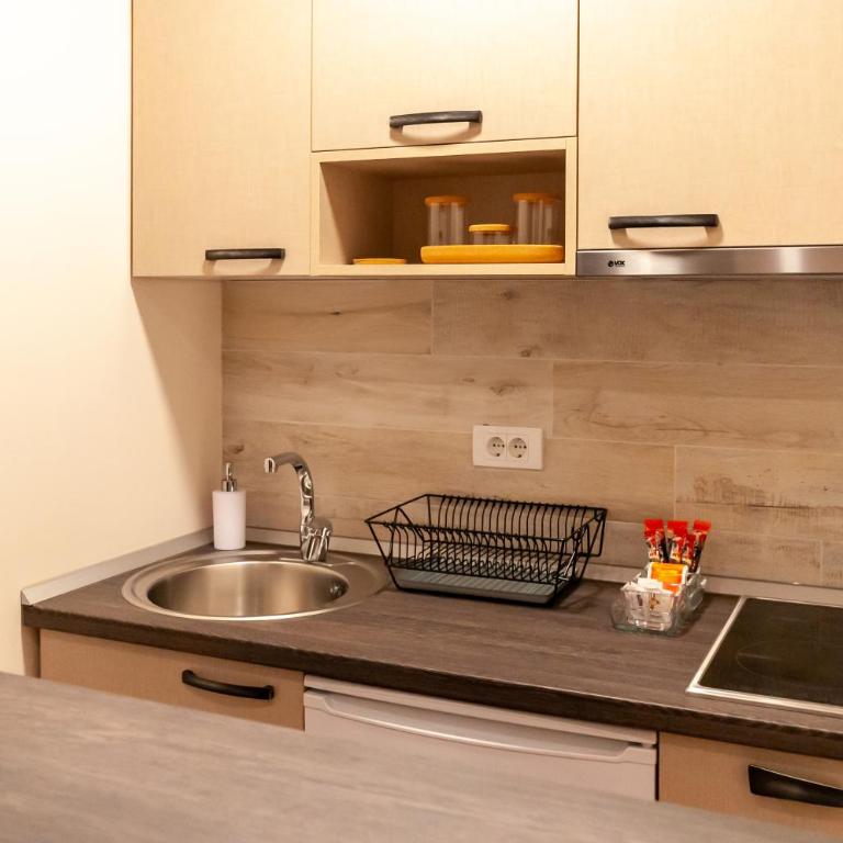 Mala Sava Apartmani - Apartman sa 1 Spavaćom Sobom - 11