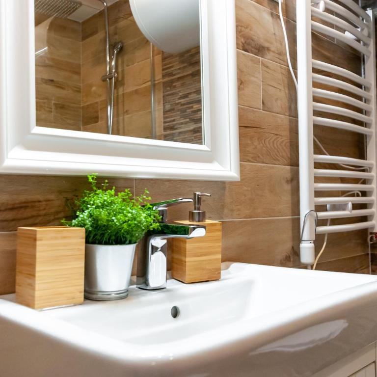 Mala Sava Apartmani - Apartman sa 1 Spavaćom Sobom - 12