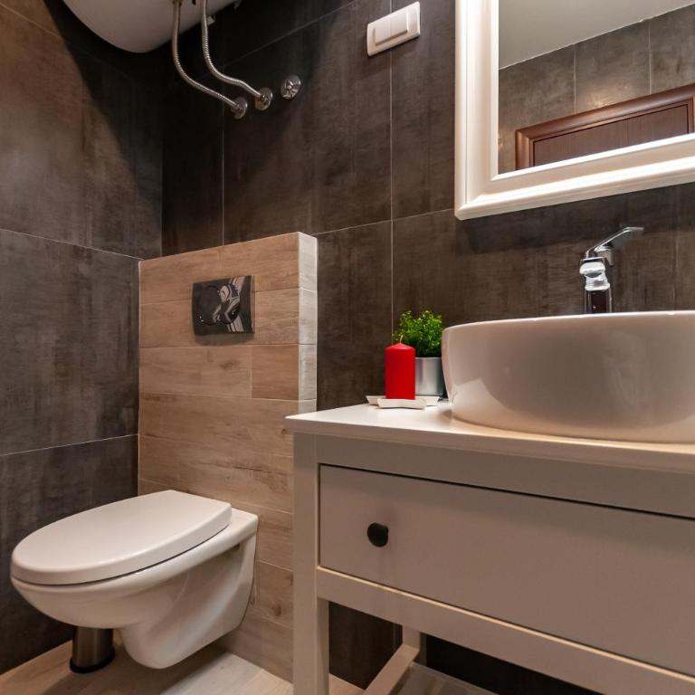 Mala Sava Apartmani - Apartman sa 1 Spavaćom Sobom - 18