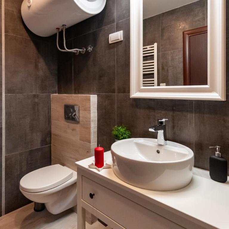 Mala Sava Apartmani - Apartman sa 1 Spavaćom Sobom - 19