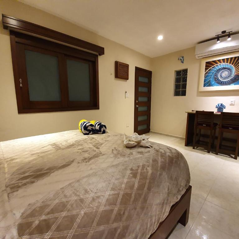Coralito Malecon Luxury Studio - Studio Apartment - 9