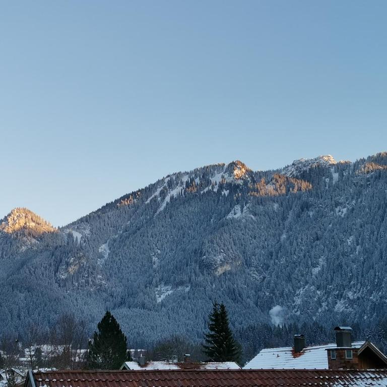 Landhaus Haser - Apartment - Erdgeschoss - 9