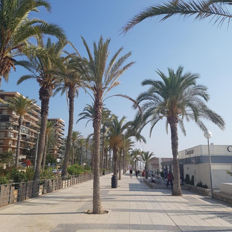 Exclusif Appartement en 1er Ligne, Vue Imprenable, Piscine, Parking Privé à Playa Mucha Vista, Alicante - Apartamento de 2 dormitorios - 52