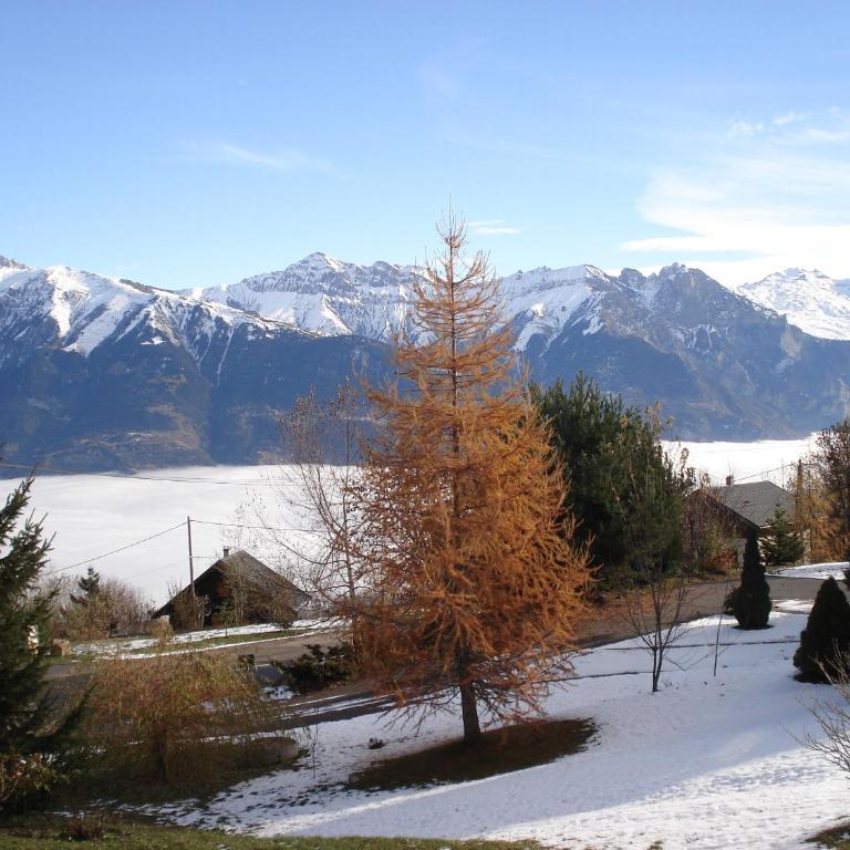 Le Maurillon - Monolocale - 59