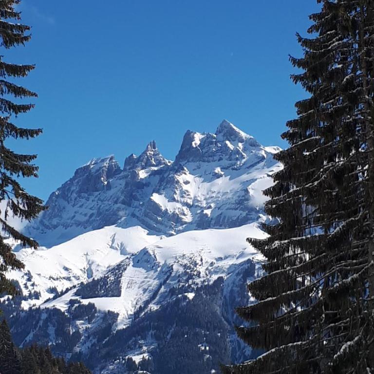 Le Mazot - Avoriaz- séjours du dimanche au dimanche - Appartement 2 Chambres - 23