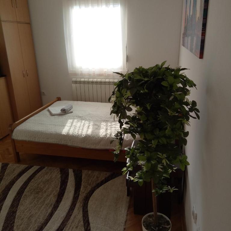 Cozy studio Belgrade (Zemun) - Studio sa Bračnim Krevetom (Queen-size) - 1