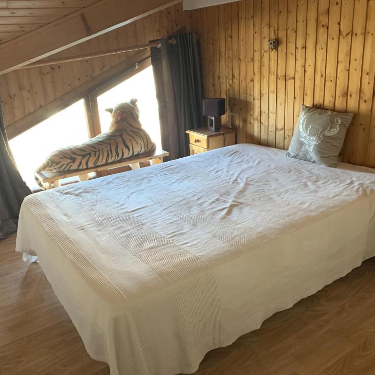 Duplex 6/8 Pers Télécabine des Carroz (ES116) - Apartamento Dúplex - 22