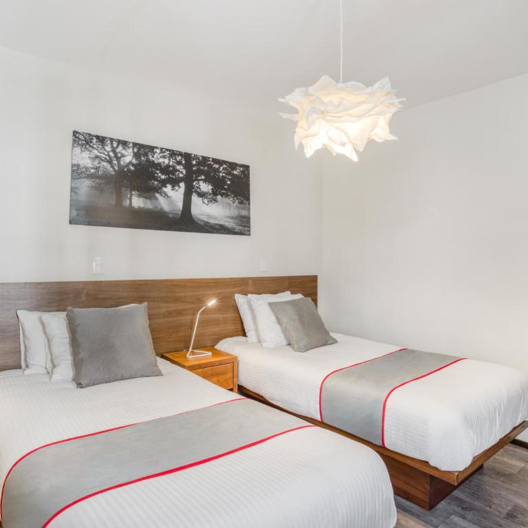 OM 686 URBAN LOFTS Narvarte - One-Bedroom Standard Apartment - 7