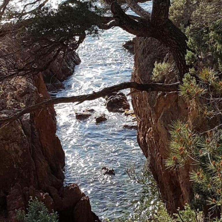 SAINT RAPHAEL, CAP ESTEREL Le Hameau. Vue mer - Studio with Sea View - 21
