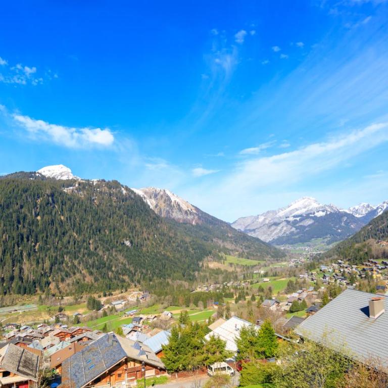 Les Flambeaux - Apt B22 - BO Immobilier - Châtel Multipass 2026 Activités en Été en option à 4euros par jour et par personne - Two-Bedroom Apartment - 13