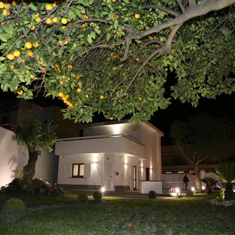 Home Olympus Vesuvio - Two-Bedroom House - 37