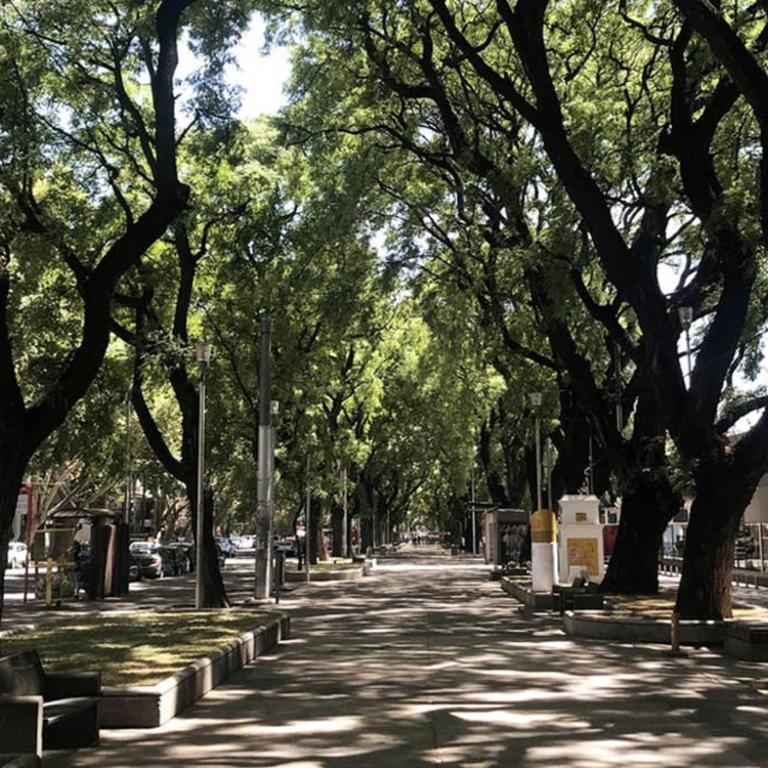 "Gregoria" terraza y parrilla - Alojate Mendoza - One-Bedroom Apartment - 14