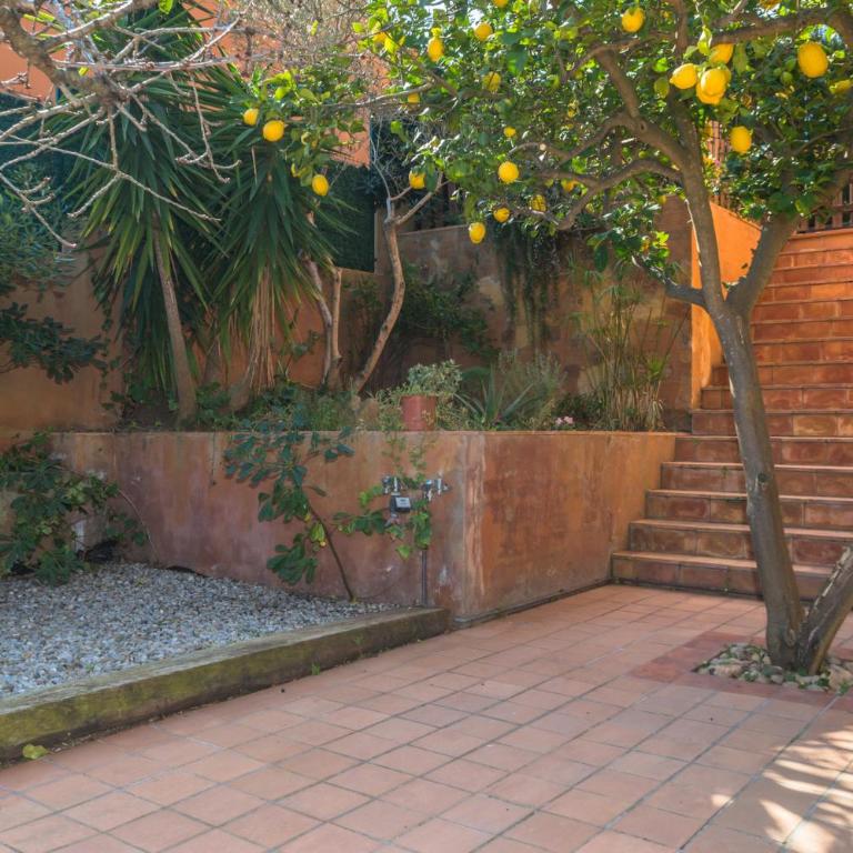 B-39 BEGUR 2 PAX - Apartamento de 1 dormitorio - 2