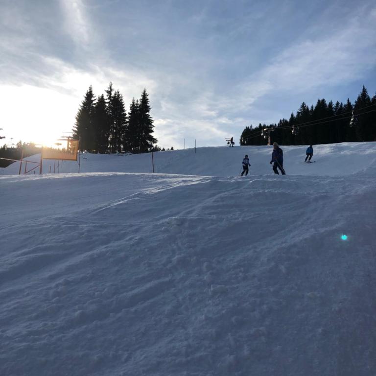 Appartement - Vollholz Studio im Zentrum von Flachau - One-Bedroom Apartment - 13