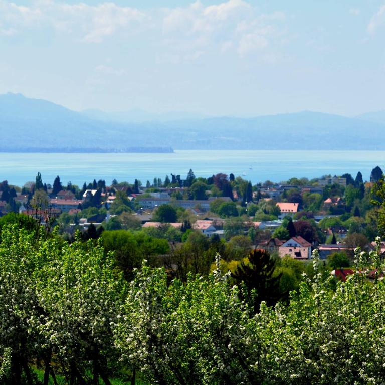 Hotel Montfort-Schlössle - Suite-Familienferienwohnung Nr. 18 mit Seeblick - 12