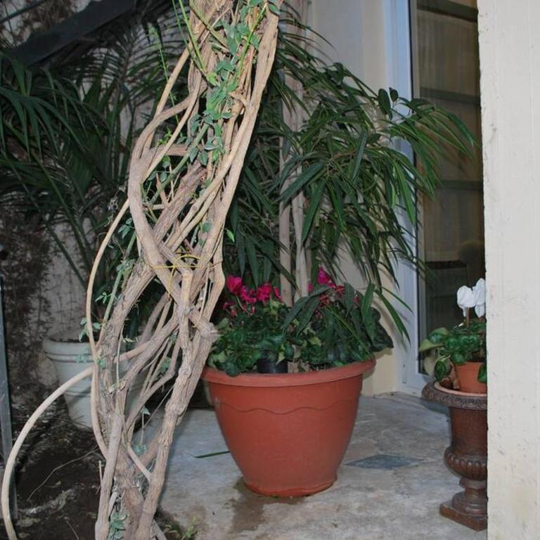 casa immersa nel verde al centro di Palermo - Appartamento con 3 Camere da Letto - 16