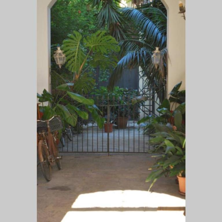 casa immersa nel verde al centro di Palermo - Appartamento con 3 Camere da Letto - 20