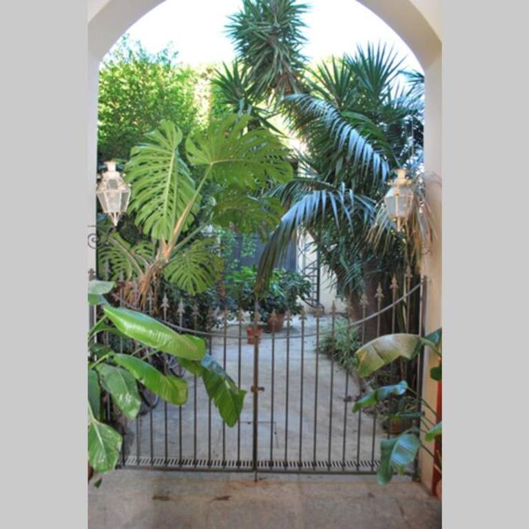 casa immersa nel verde al centro di Palermo - Appartamento con 3 Camere da Letto - 31