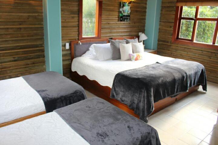HOTEL IGUAIMA - Habitación Doble con balcón - 5