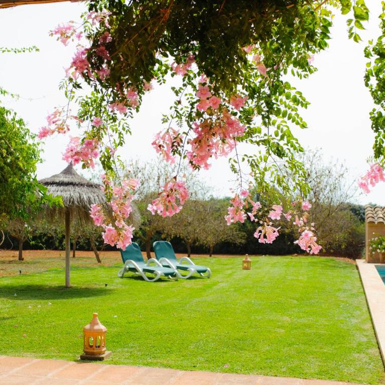 Finca Parra - Villa de 5 dormitorios - 46