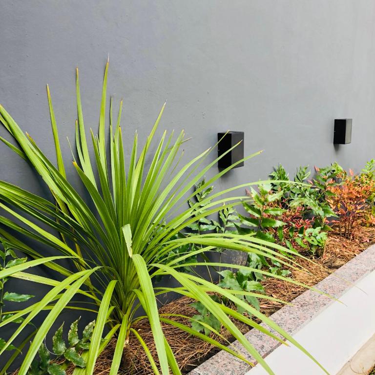 Departamento en Olavarría - Apartamento de 1 dormitorio - 18