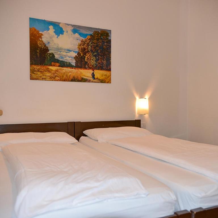 Hotel Regina Delle Dolomiti - Camera Economy Matrimoniale/Doppia con Letti Singoli - 2
