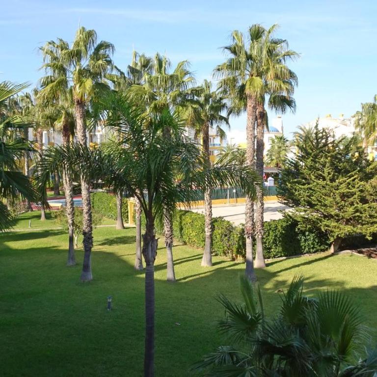PALMERAS EN LA PLAYA - Beach House in Oliva - Apartamento de 3 dormitorios - 74