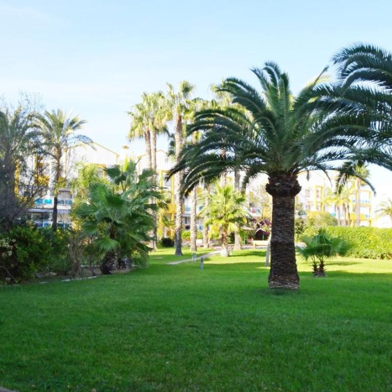 PALMERAS EN LA PLAYA - Beach House in Oliva - Apartamento de 3 dormitorios - 63