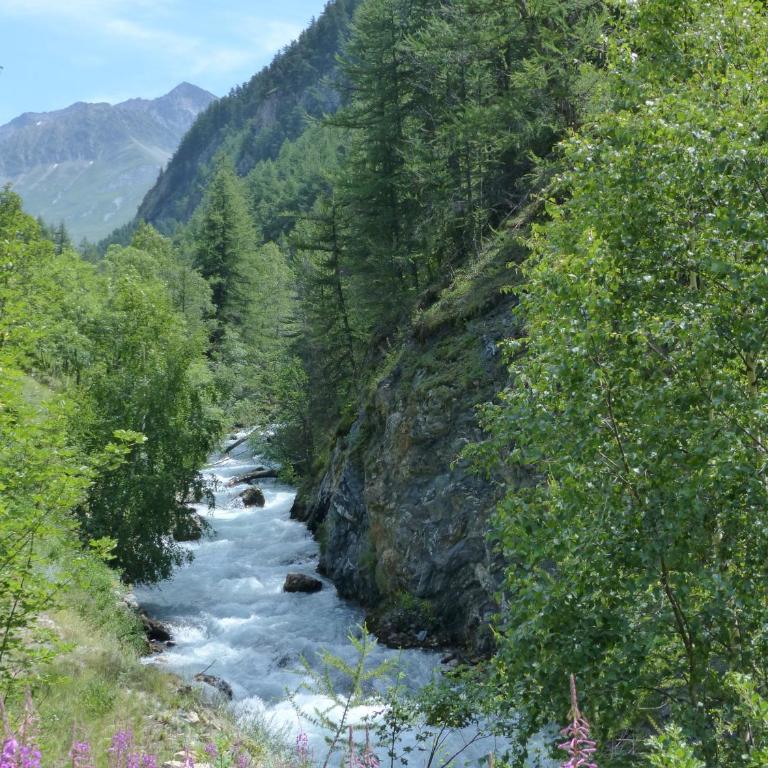 Tranquillité et authenticité au pied des Ecrins - Appartement 1 Chambre - 10
