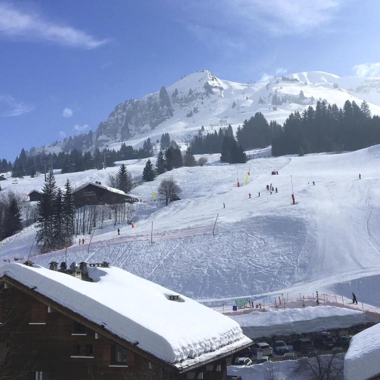 "CHALET LES ARAVIS" chalet et Appartements - Apartment mit Balkon - 22