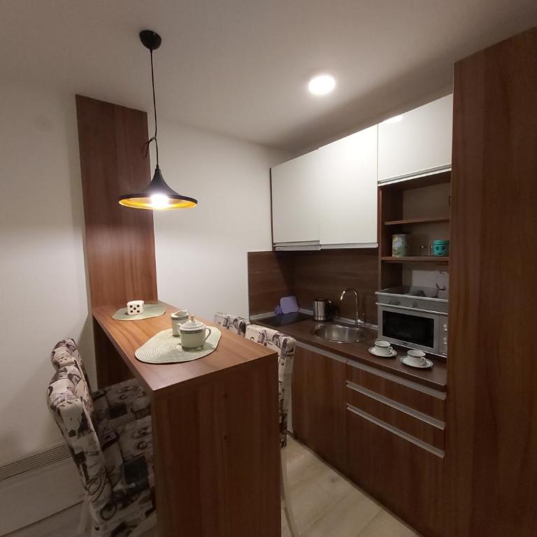 AMI apartman Kopaonik - Apartment with Mountain View - 20